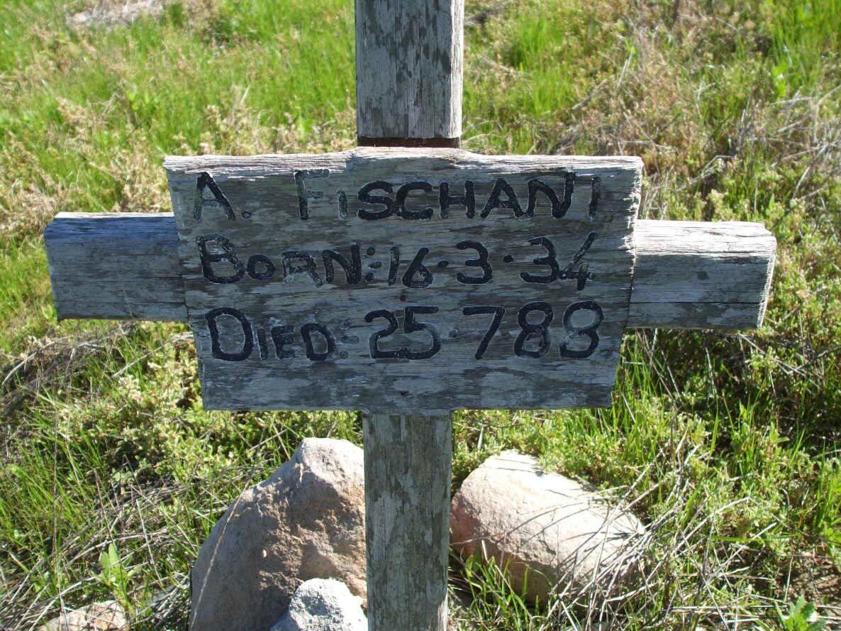 FISCHANI A.  1?34-1?88