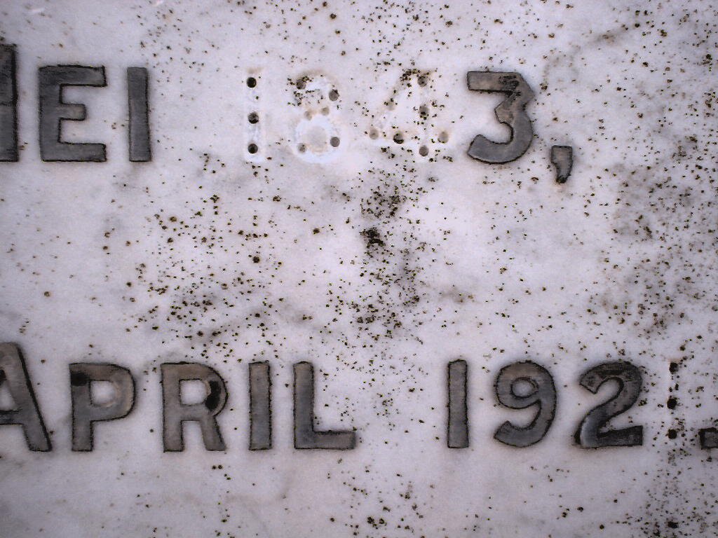 BESTER Dirk Jacobus 1843-1921