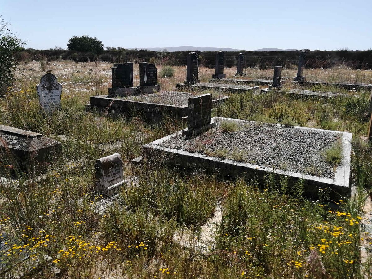 3. Overview / Oorsig