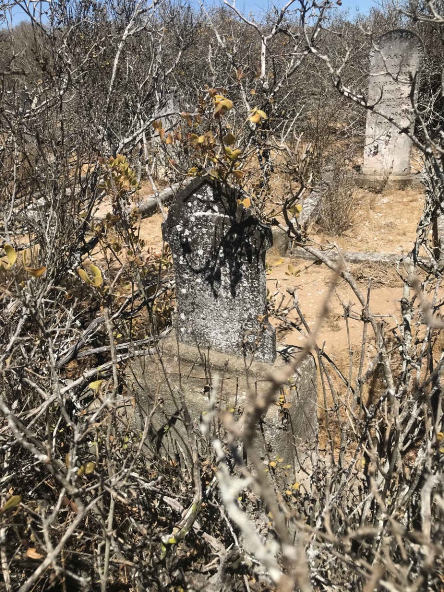 VISSER 1913-19?3 :: en doodgebore dogter