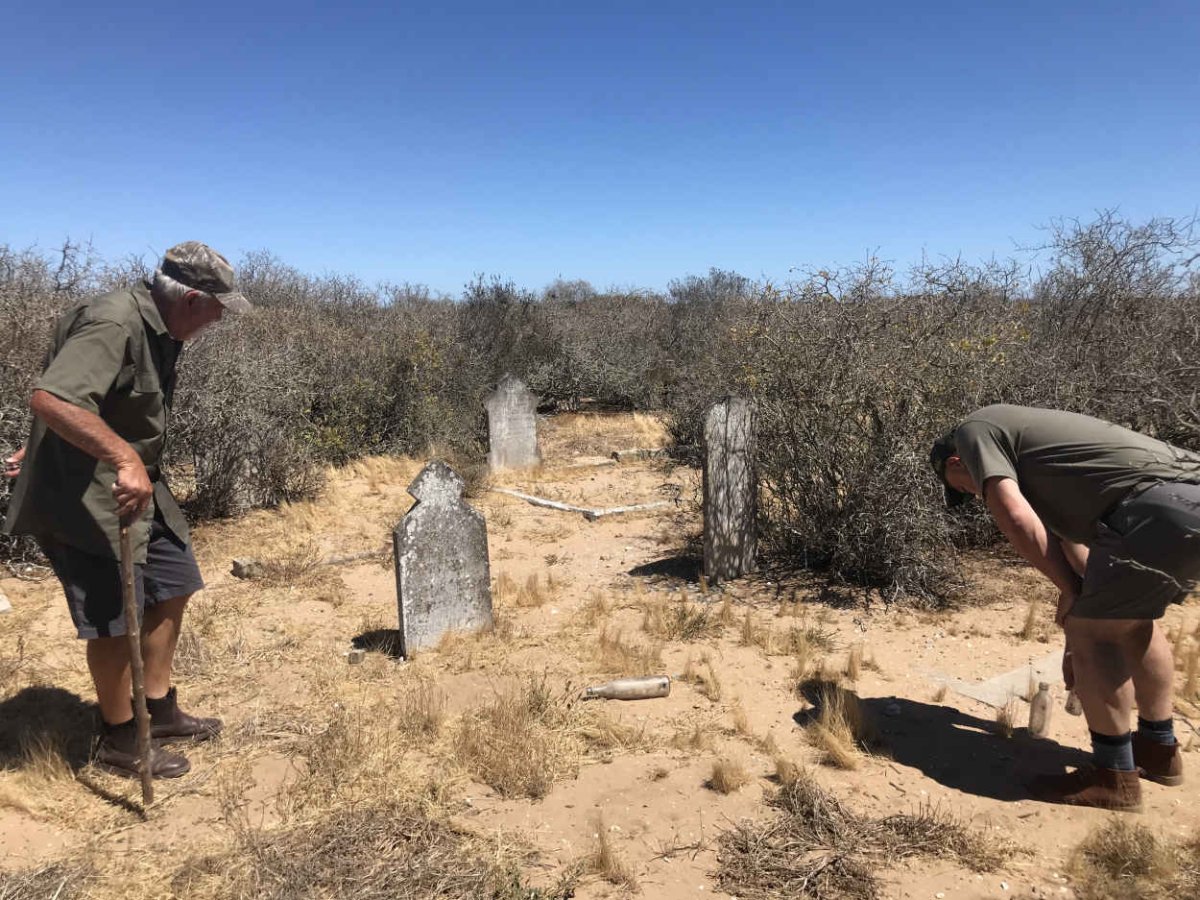 2. Overview / Oorsig