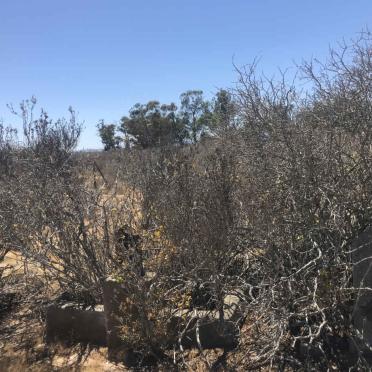 1. Unknown :: Illegible