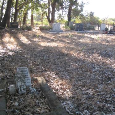 2. Oorsig oor grafte by Papkuilsfontein