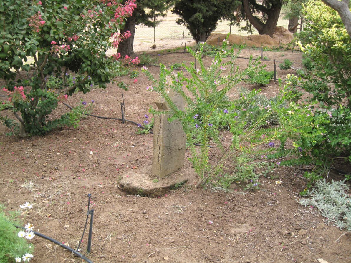 6. Overview of Cemetery