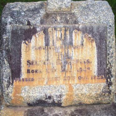 TOPLIS Selina E. 1848-1925