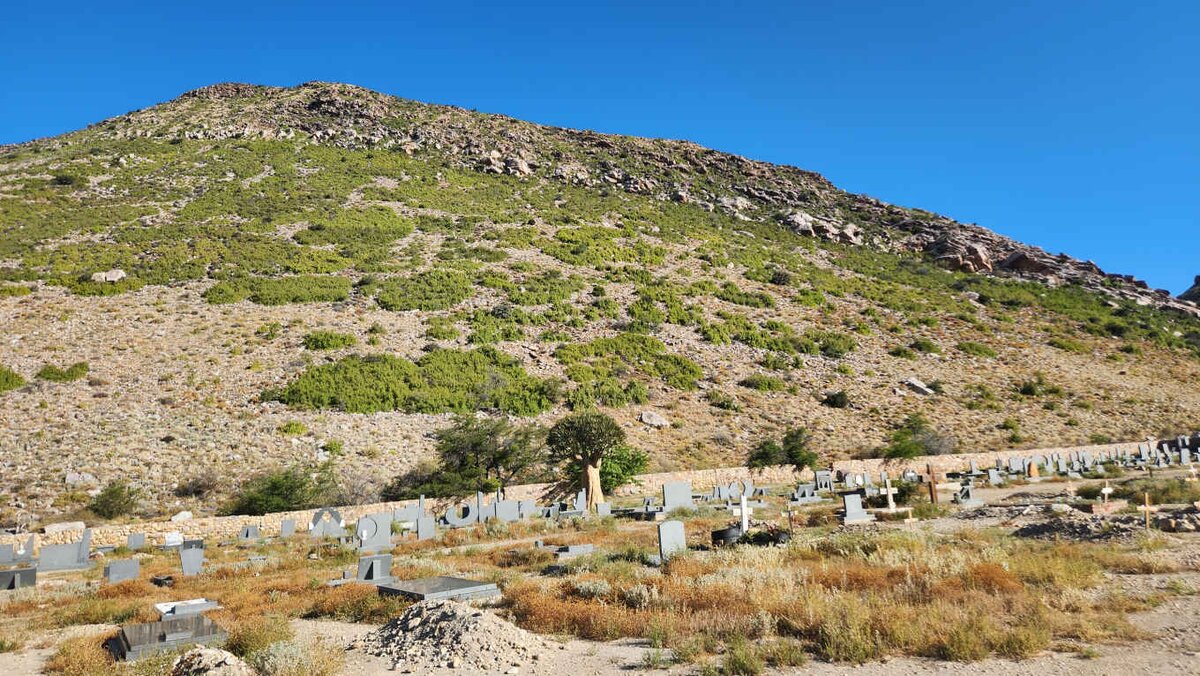 5. Oorsig / Overview