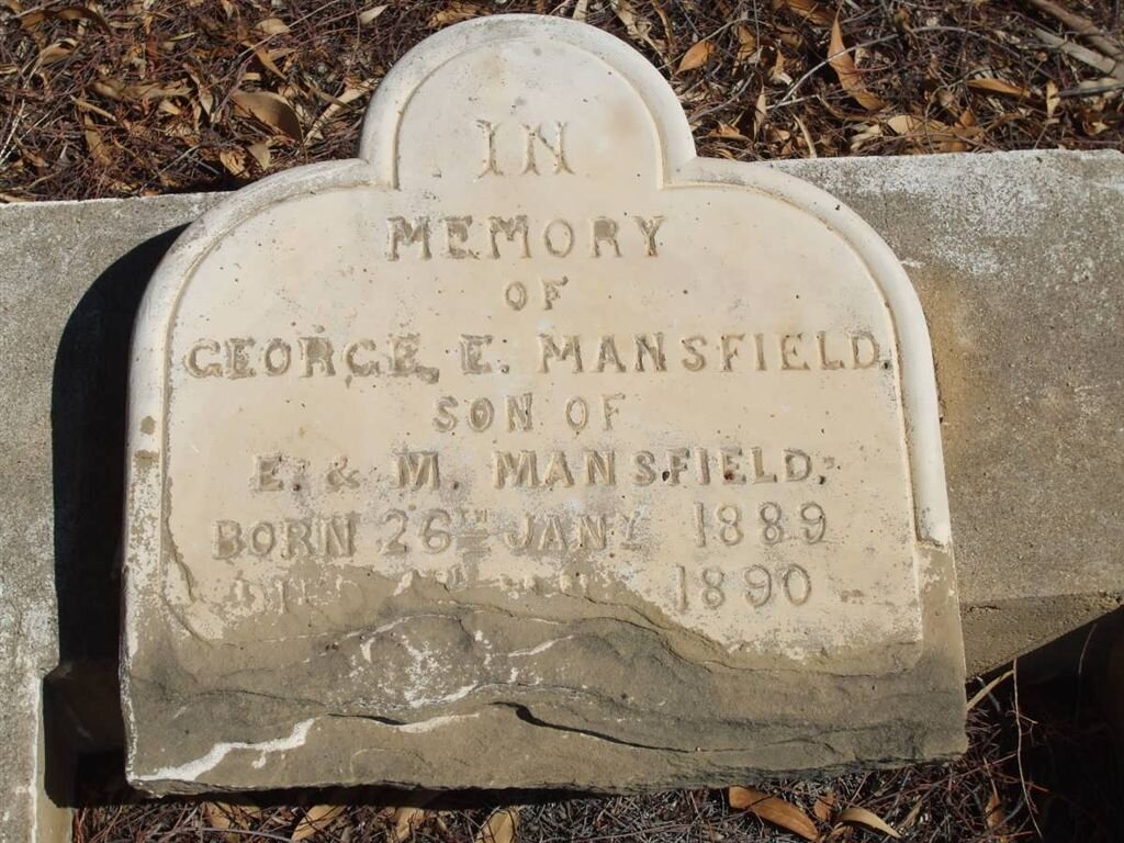MANSFIELD George E. 1889-1890