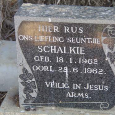 GROBBELAAR Schalkie 1962-1962