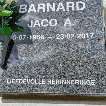 BARNARD Jaco A. 1966-2017