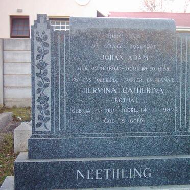 NEETHLING Johan Adam 1894-1955 &amp; Hermina Catherina BOTHA 1905-1985