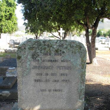 MAREE Johannes Petrus 1866-1922