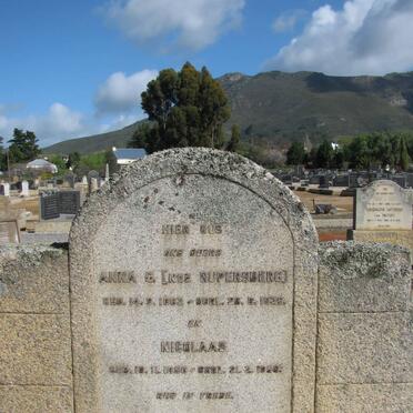 MAREE Nicolaas 1856-1950 &amp; Anna G. RUPERSBERG 1862-1939