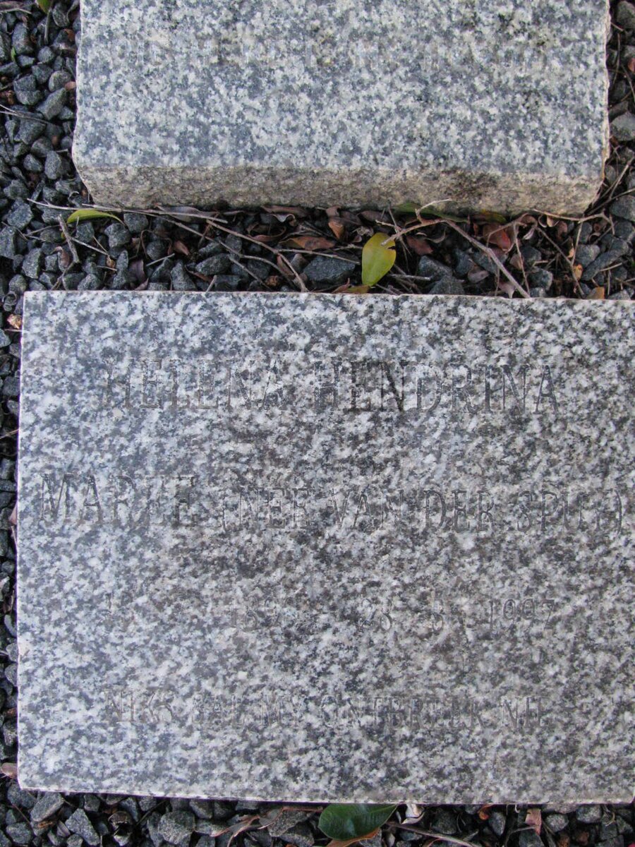 MAREE :: THERON :: VAN DER SPUY