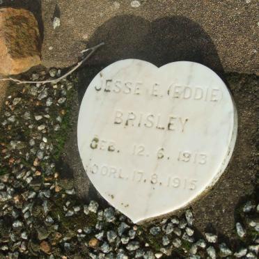 BRISLEY Jessie E. 1913-1915