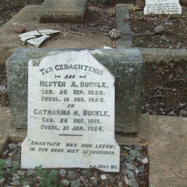 BUCKLE Hester A. 1920-1923 :: BUCKLE Catharina H. 1917-1924