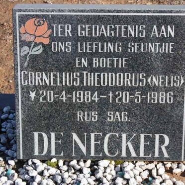 NECKER Cornelis Theodorus, de 1984-1986