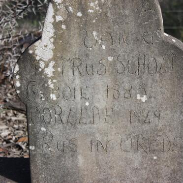 SCHOLTZ Petrus 1885-1949