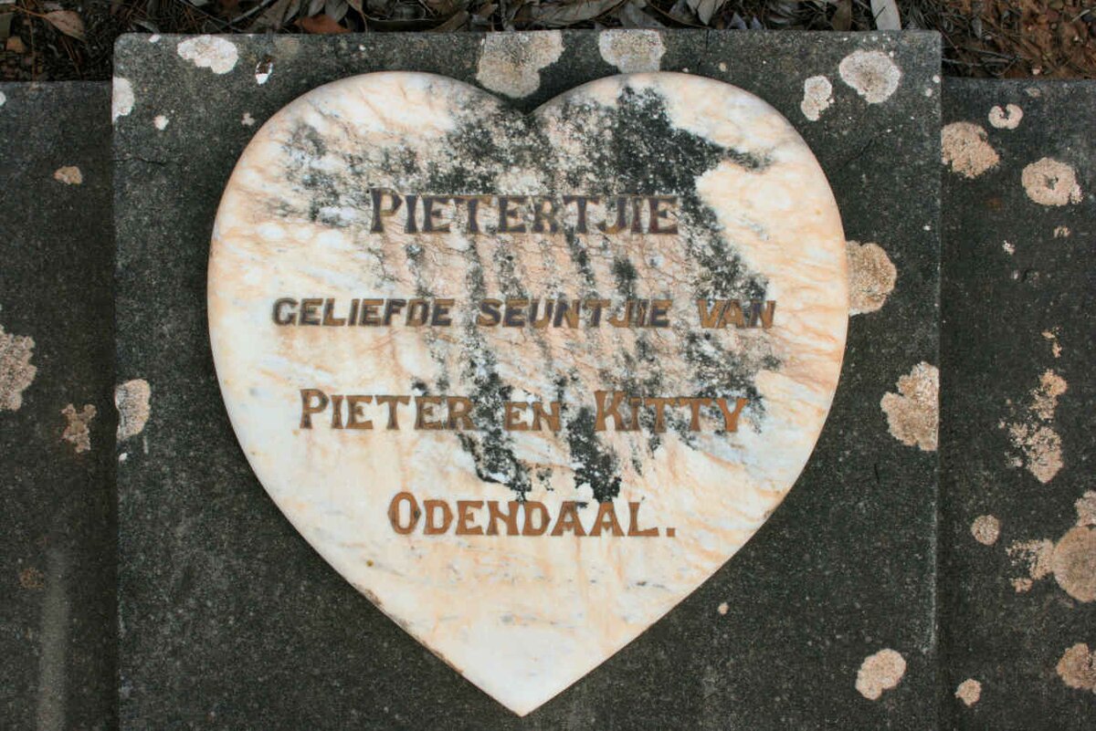 ODENDAAL Pietertjie