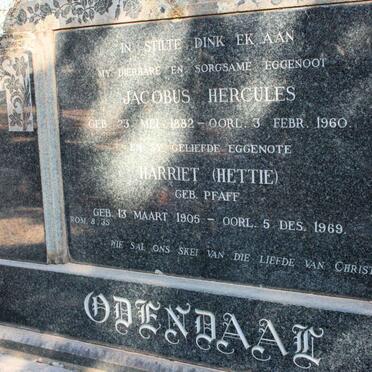 ODENDAAL Jacobus Hercules 1882-1960 &amp; Harriet PFAFF 1905-1969