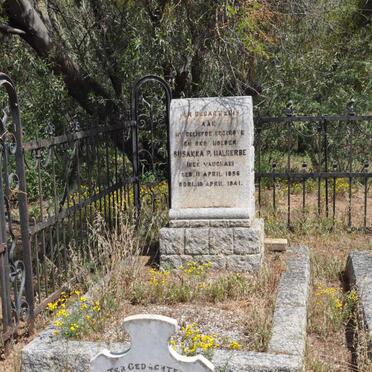 MALHERBE Susanna Petronella nee VAUGHAN 1896-1941 :: MALHERBE Willem Daniel Philip 1919-1925