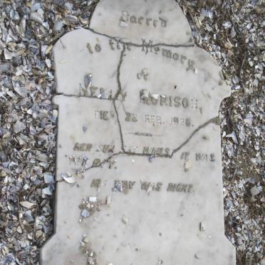 MORISON Christina Wilhelmina Maria 1859-1897 :: MORISON Nelly -1926