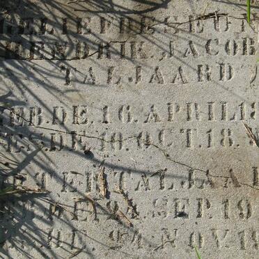 TALJAARD Hendrik Jacobus 1894-1895 :: TALJAARD Pieter 1901-1901