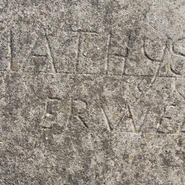 ERWEE Mathys