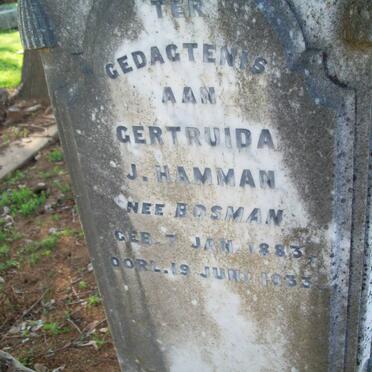 HAMMAN Gertruida J. nee BOSMAN 1883-1933