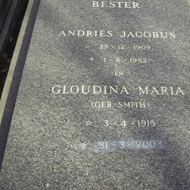BESTER Andries Jacobus 1909-1982 &amp; Gloudina Maria SMITH 1915-2004