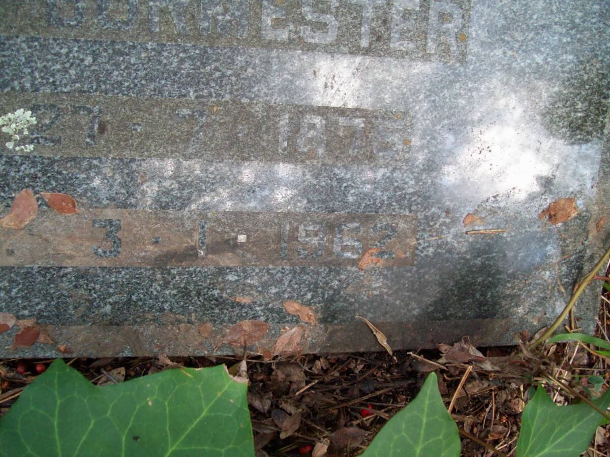 BURMESTER  Irma 1875 -1962