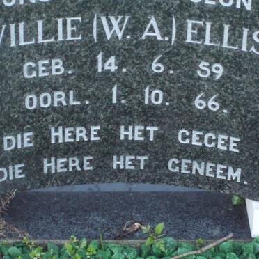 ELLIS W.A. 1959-1966