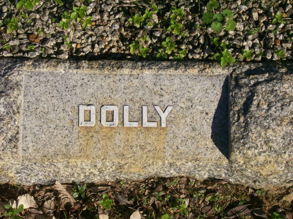 ? Dolly