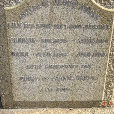 HAUPT Lily 1887-1887 :: HAUPT Charlie 1889-1891 :: HAUPT Baba 1894-1894