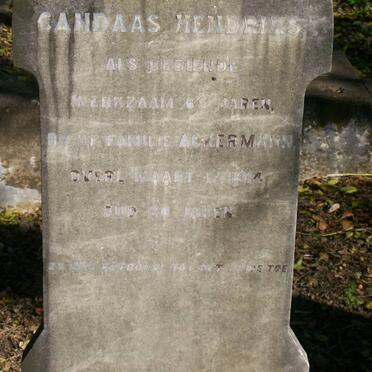 HENDRIKS Candaas -194