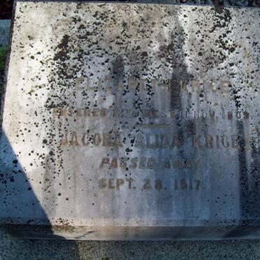 KRIGE Elizabeth -18?9 :: KRIGE Jacoba Alida -1917