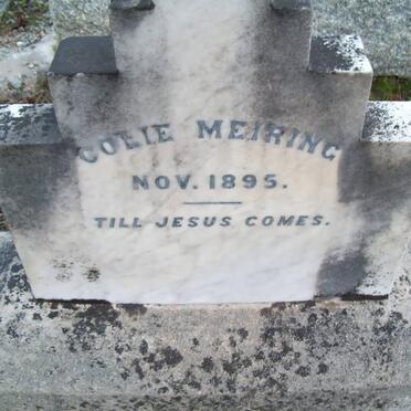 MEIRING Colie -1895