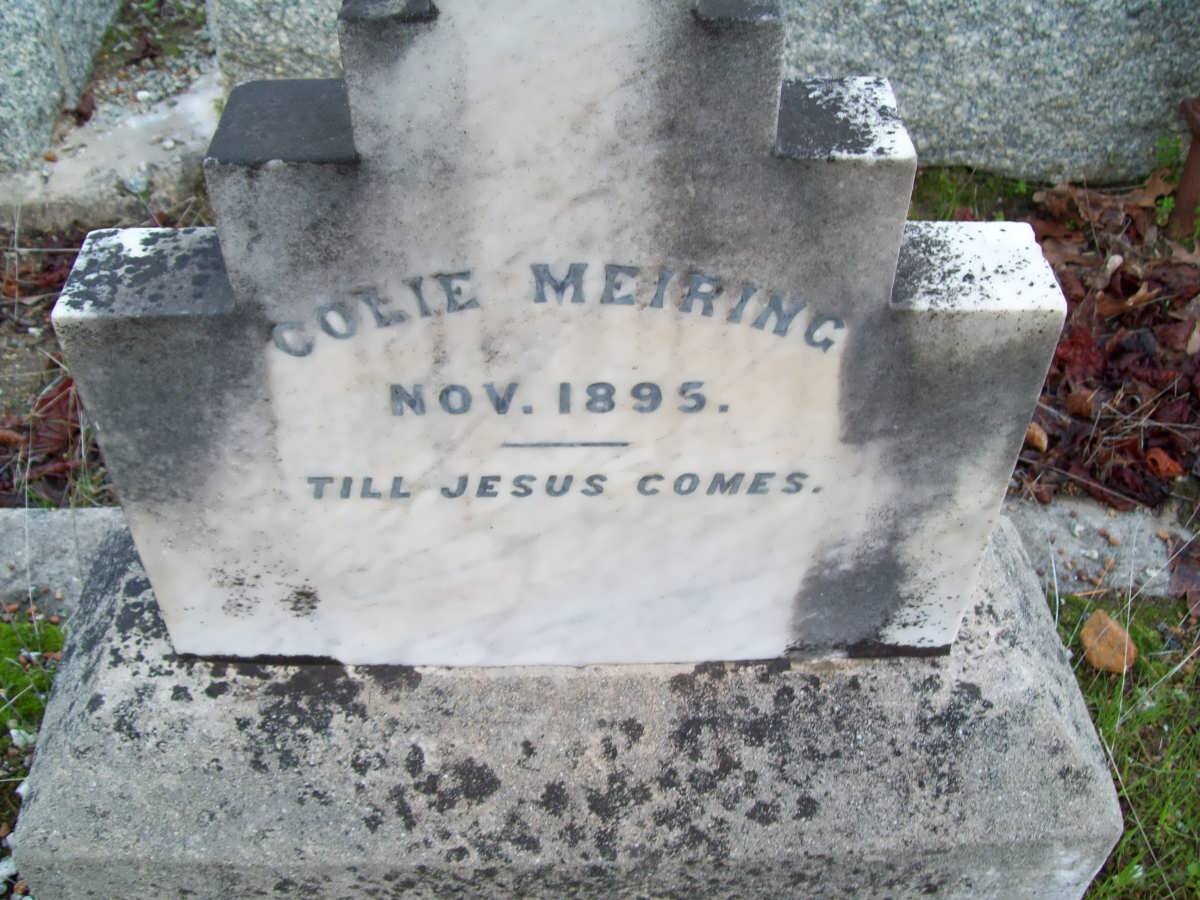 MEIRING Colie -1895
