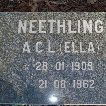 NEETHLING A.C.L. 1909-1962