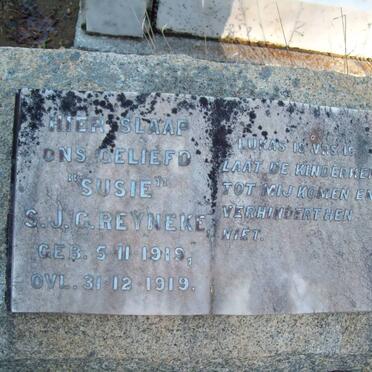 REYNEKE S.J.G. 1919-1919