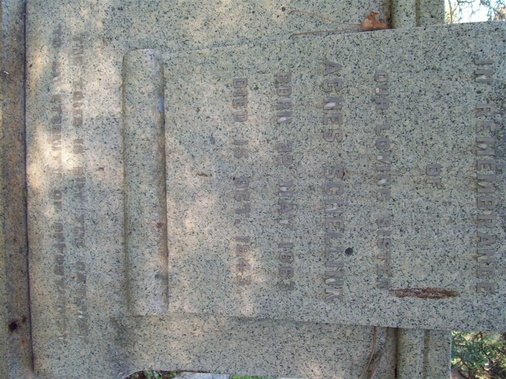 SCHELLINK Agnes 1863-1943