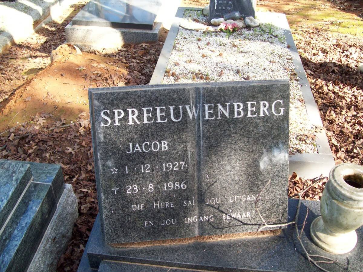 SPREEUWENBERG Jacob 1927-1986