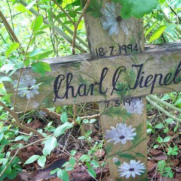 TIEPELT Charl C. 1994-1999