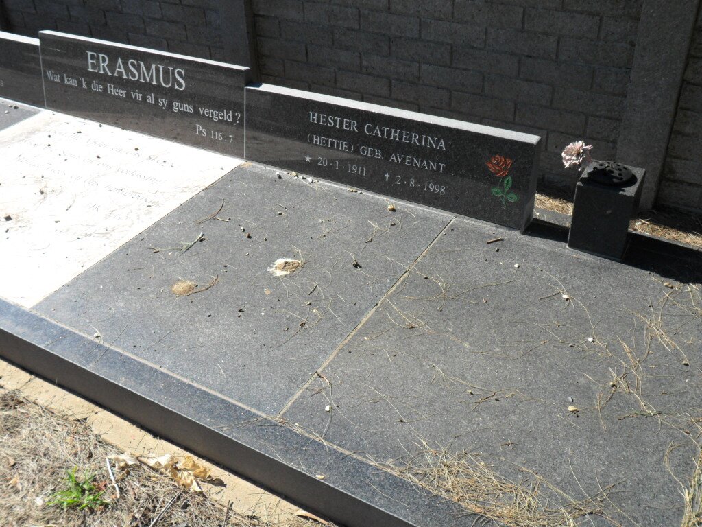 ERASMUS Hester Catherina nee AVENANT 1911-1998