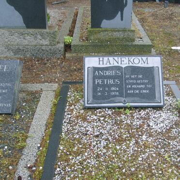 HANEKOM Andries Petrus 1904-1978