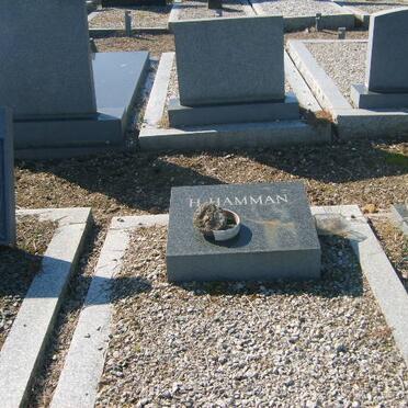 HAMMAN H.