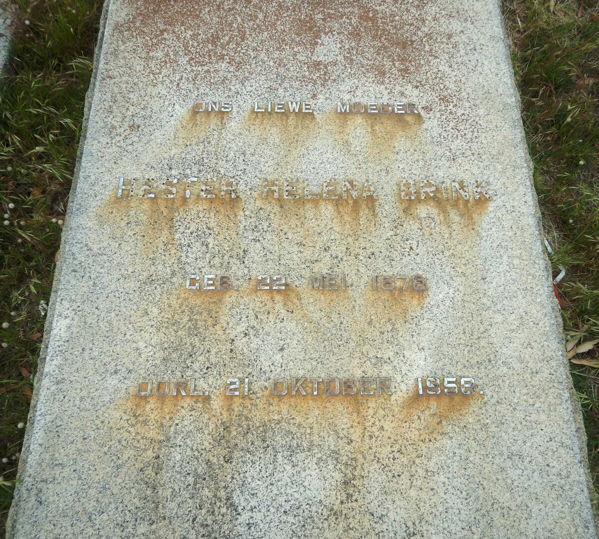 BRINK Hester Helena 1876-1958