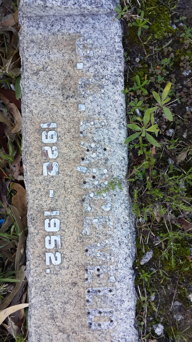 LANGEVELD J.C. 1922-1952