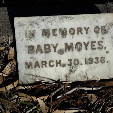 MOYES Baby -1936