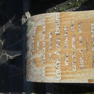 NIEKERK Lovina C., van nee BOSMAN 1887-1943