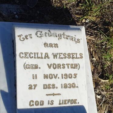 WESSELS Cecilia nee VORSTER 1905-1930